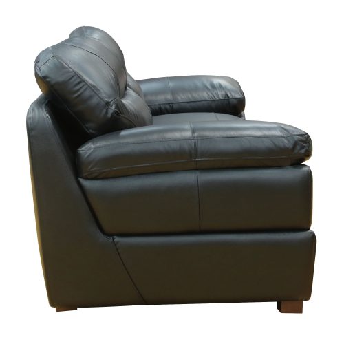 Jayson Sofa in Black - Side view - SU-JH3780-301SPE